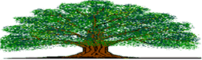 Tidy Tree Logo